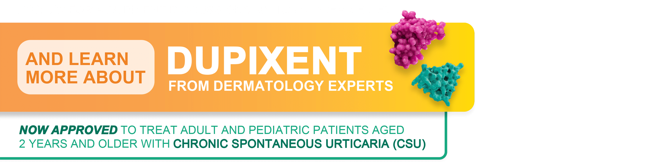 Dupe 2026 banner white text